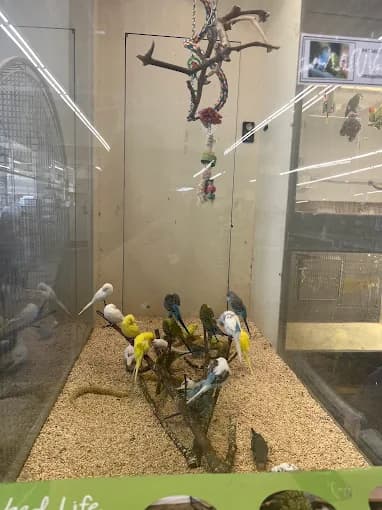 Reptile habitat & terrarium displays