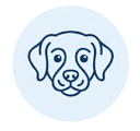 Browse Dogs