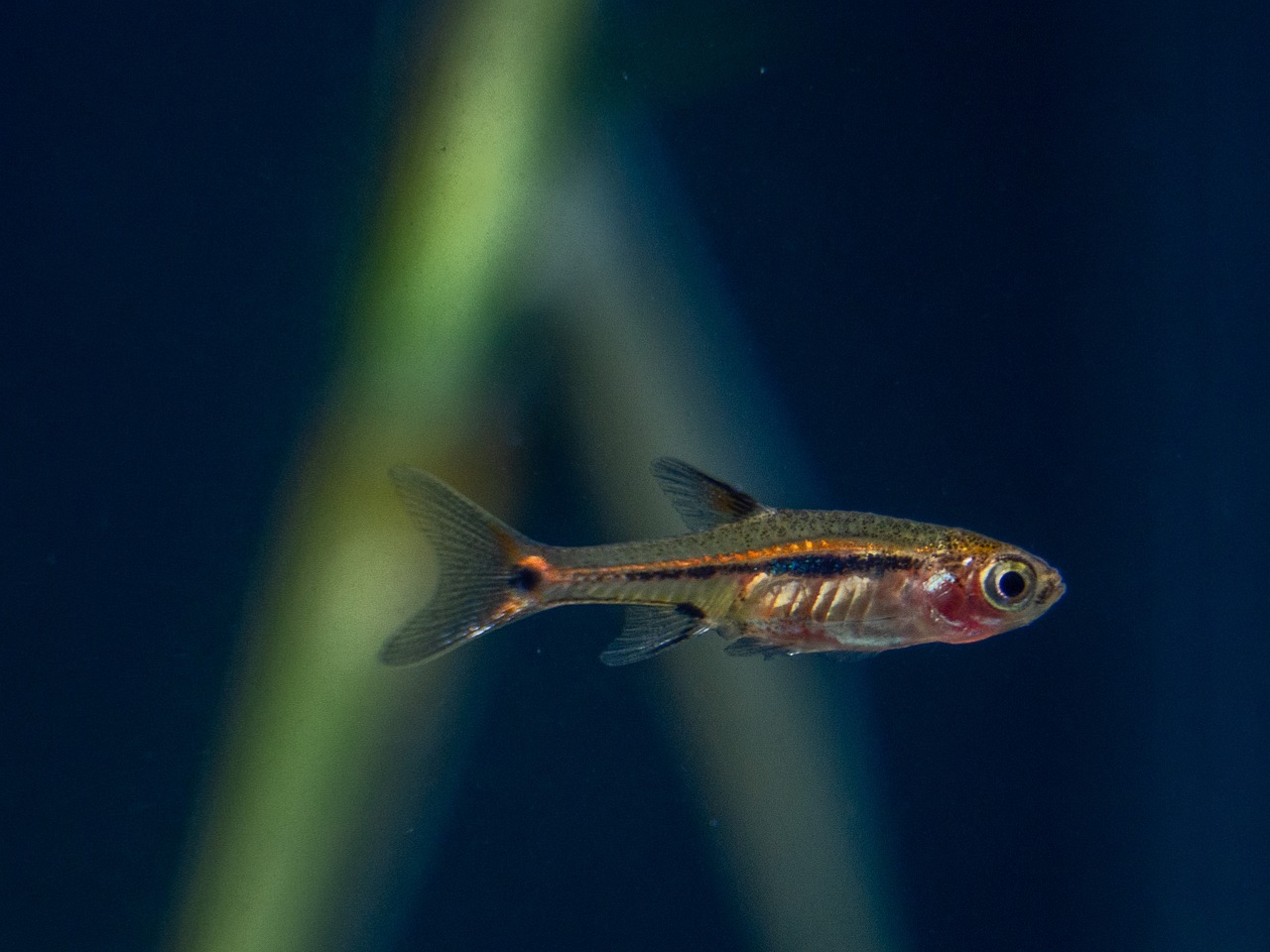 Freshwater Arrivals October 2023